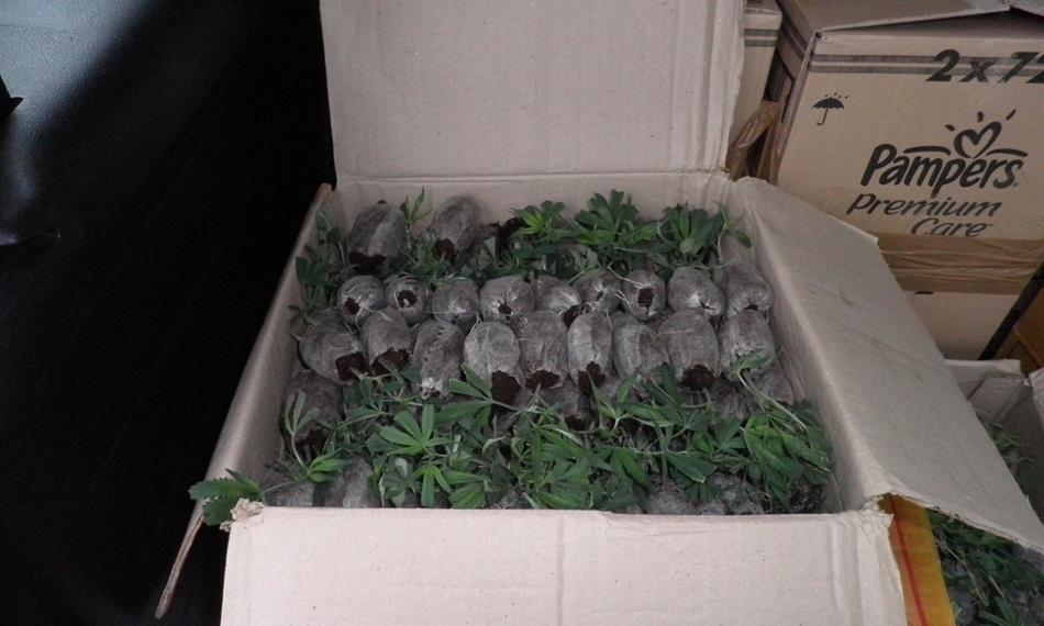 2011-7-28-133Snímek 002.jpg